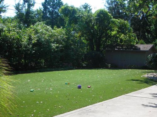 Dog Lawn2